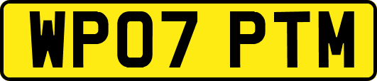 WP07PTM