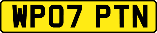 WP07PTN