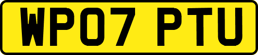 WP07PTU
