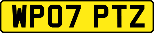 WP07PTZ