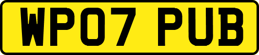 WP07PUB