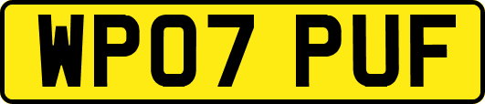 WP07PUF