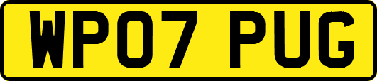 WP07PUG