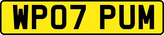 WP07PUM