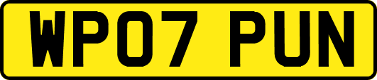WP07PUN