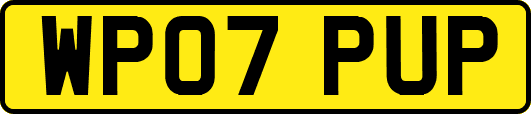 WP07PUP