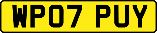 WP07PUY