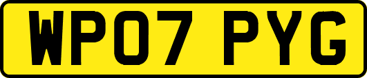 WP07PYG