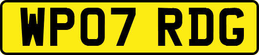WP07RDG