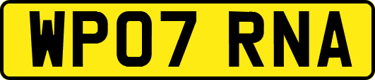 WP07RNA