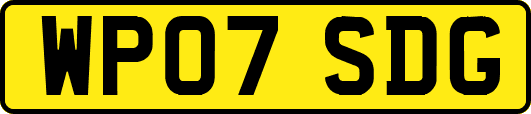 WP07SDG
