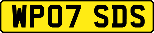 WP07SDS