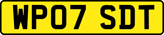 WP07SDT
