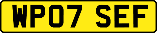 WP07SEF