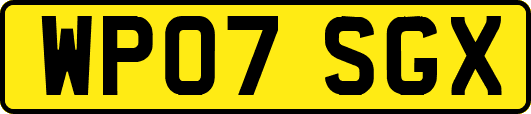 WP07SGX