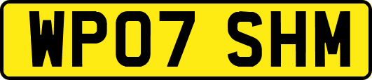WP07SHM