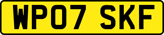 WP07SKF
