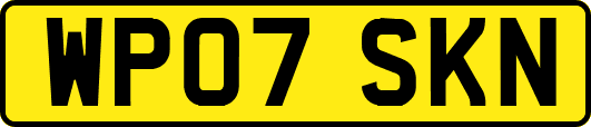 WP07SKN