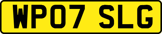WP07SLG