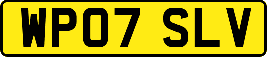 WP07SLV