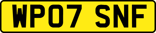 WP07SNF