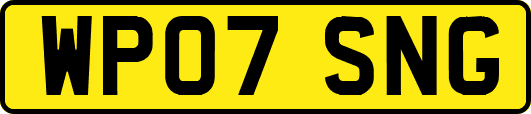 WP07SNG