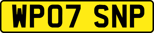 WP07SNP