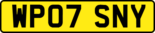 WP07SNY