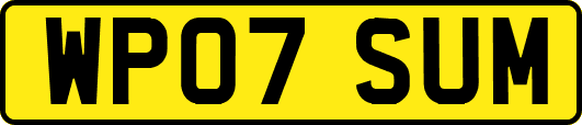 WP07SUM