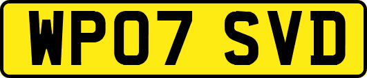 WP07SVD