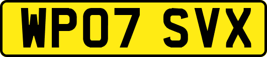 WP07SVX