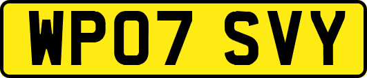 WP07SVY