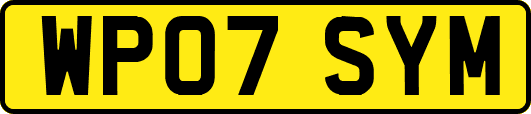 WP07SYM