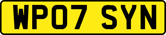 WP07SYN