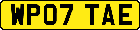 WP07TAE