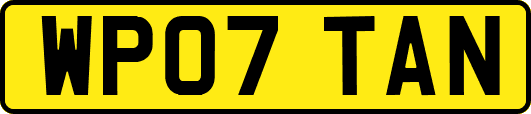 WP07TAN