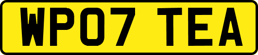 WP07TEA