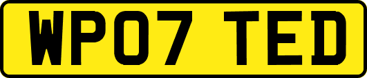 WP07TED