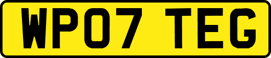 WP07TEG