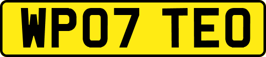WP07TEO