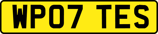 WP07TES