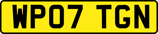 WP07TGN