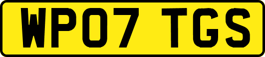 WP07TGS