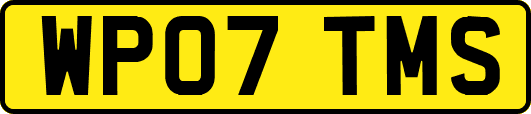 WP07TMS