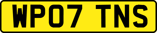 WP07TNS