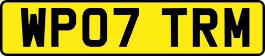 WP07TRM