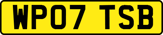 WP07TSB