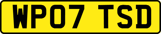 WP07TSD