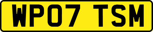 WP07TSM