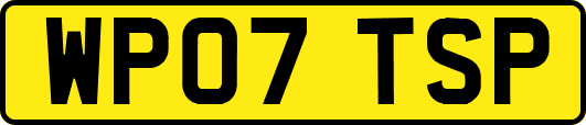 WP07TSP